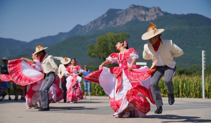 Cartell